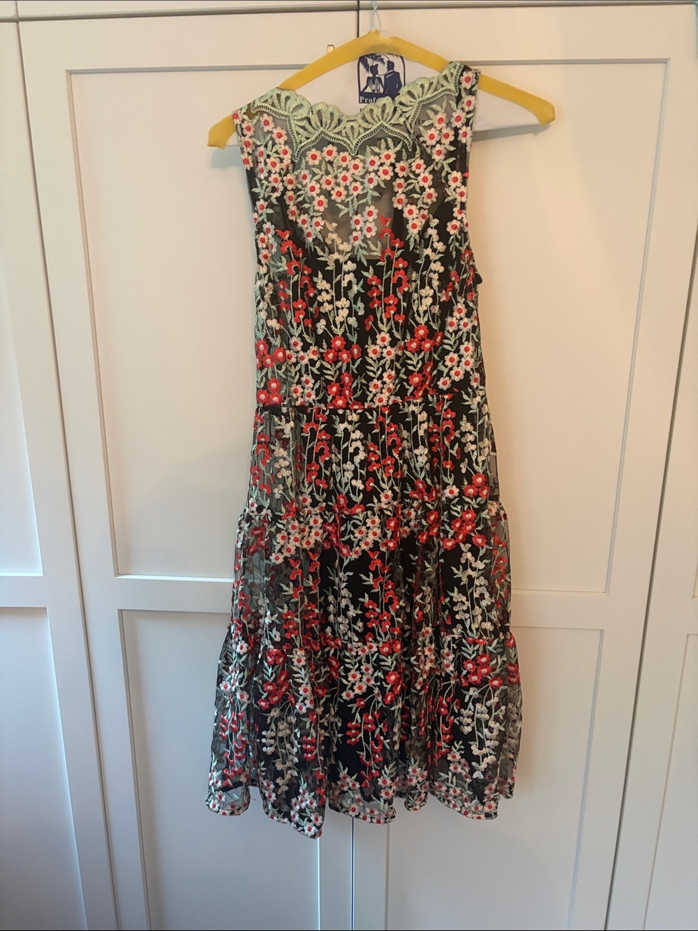 HD in Paris Black Dress with Red and Green Floral Embroidery